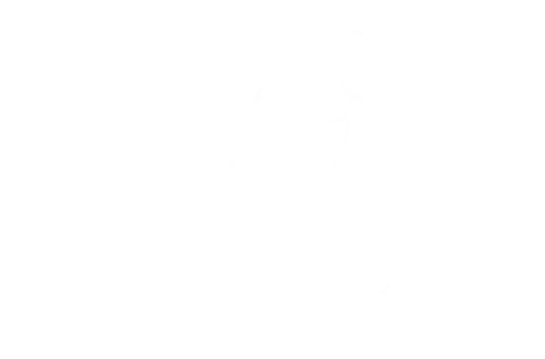 Washington Construction & Fencing logo footer version